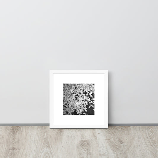 Minimalist art framed matte paper poster in white frame featuring the 'Ginkgo Biloba (B&W)' photo art. / フレーム付きマットペーパーポスター（ホワイトフレーム）：「イチョウ (モノクロ)」のフォトアートを配したミニマリストデザイン。