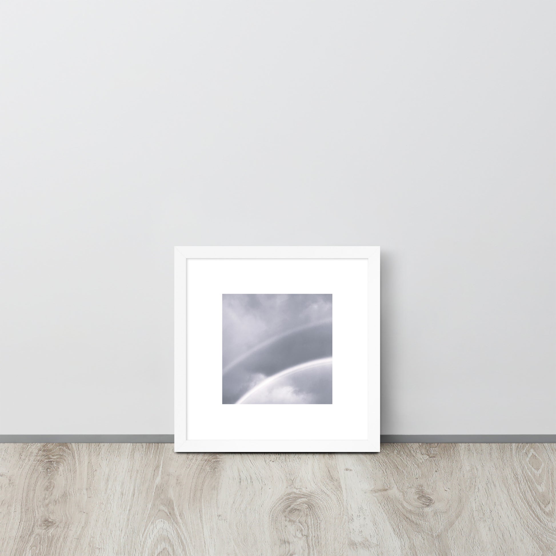 Double Rainbow Botanical B&W Art – Framed Matte Paper Poster, White Frame, Front View