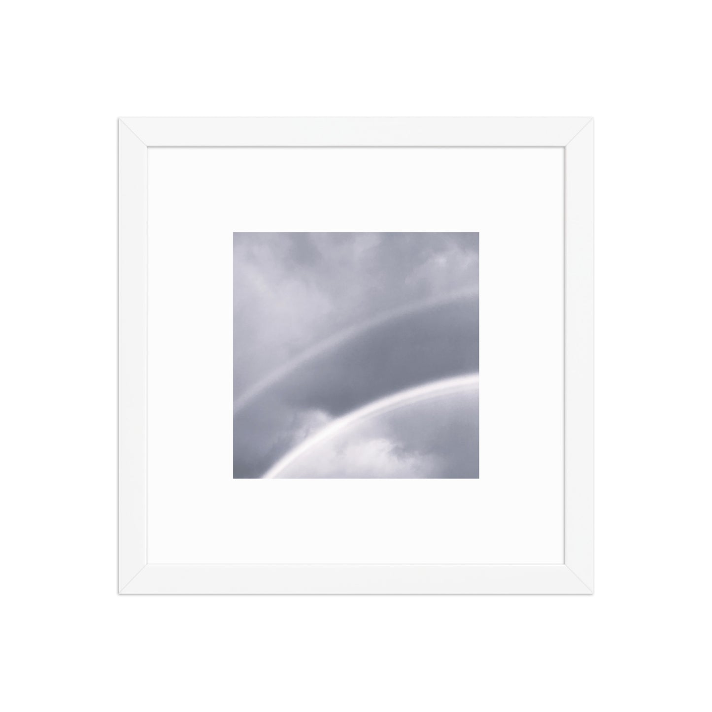 Double Rainbow Botanical B&W Art – Framed Matte Paper Poster, White Frame, Front View