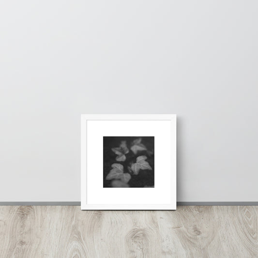 Minimalist streetwear style framed wall art in matte white, featuring an 'Ivy' B&W botanical photograph. / Ivy B&W 額装ポスター（ホワイトフレーム）：クリーンな白枠がモダンな空間を演出する、モードストリート系ミニマリスト・インテリアアート。