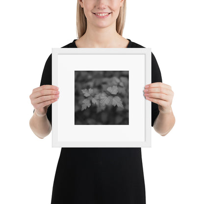 【White Frame】
Minimalist mode style framed matte paper poster with a 'plants' black and white botanical art print and a white frame / モードストリート系フレーム付きポスター（ホワイトフレーム）、「植物」のモノクロアートプリント（アートプリント）