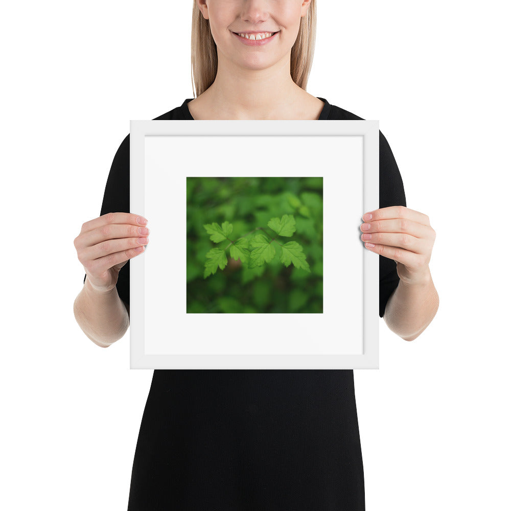 【White Frame】
Minimalist mode style framed matte paper poster with a 'plants' botanical art print and a white frame / モードストリート系フレーム付きポスター（ホワイトフレーム）、「植物」のアートプリント（インテリアポスター）
