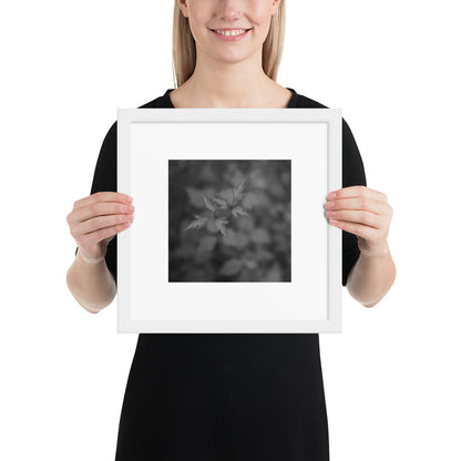 Botanical Plant B&W Art – Framed Matte Poster, White Frame, Lifestyle View
