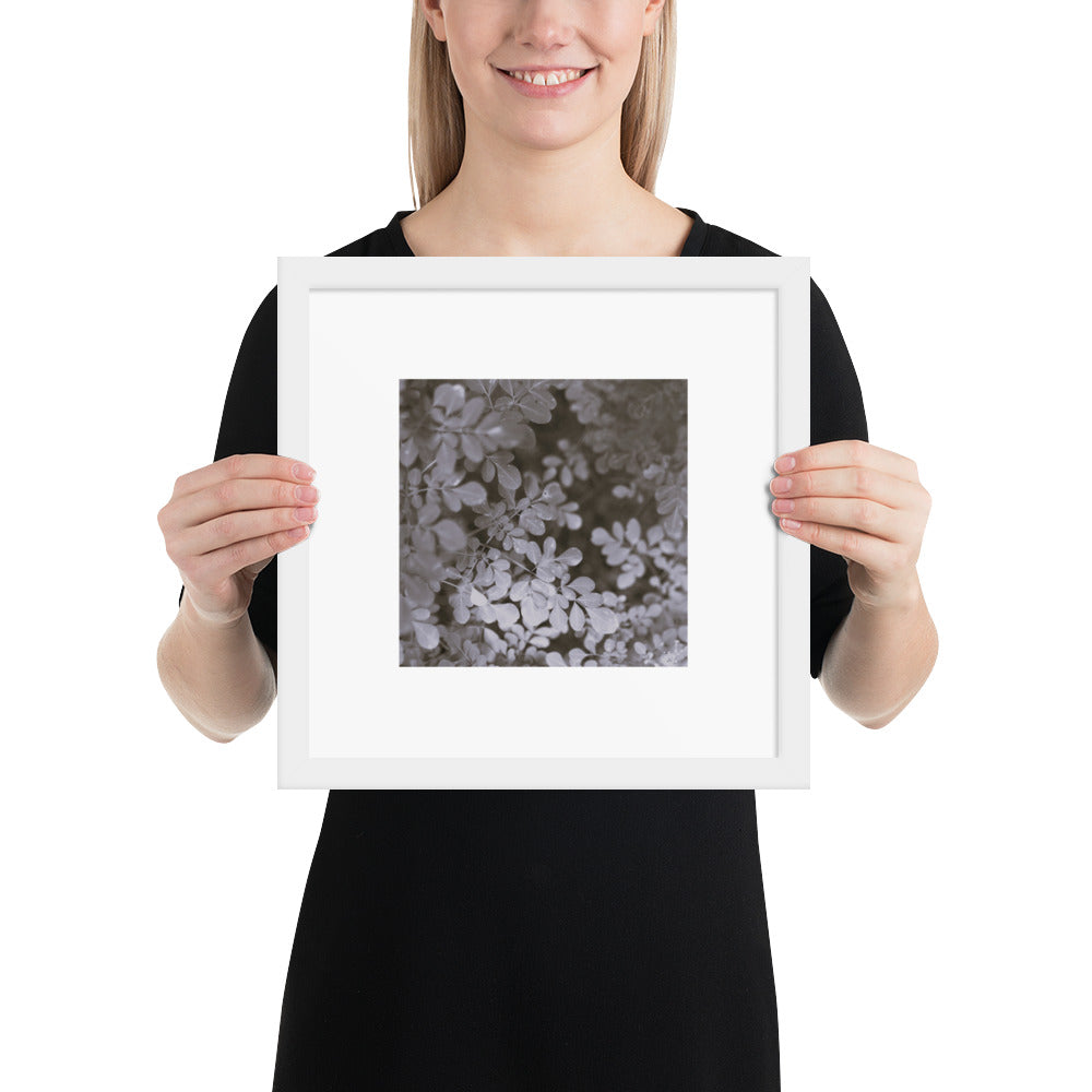 Matsukazesou Botanical B&W Art – Framed Matte Paper Poster, White Frame, Front View