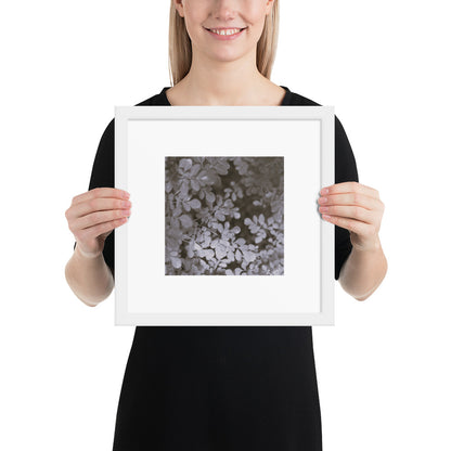 Matsukazesou Botanical B&W Art – Framed Matte Paper Poster, White Frame, Front View