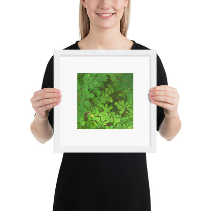 Matsukazesou Botanical Art – Framed Matte Paper Poster, White Frame, Front View