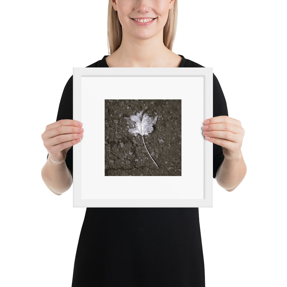 Maple Leaf Botanical B&W Art – Framed Matte Paper Poster, White Frame, Front View