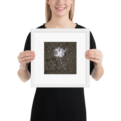 Maple Leaf Botanical B&W Art – Framed Matte Paper Poster, White Frame, Front View