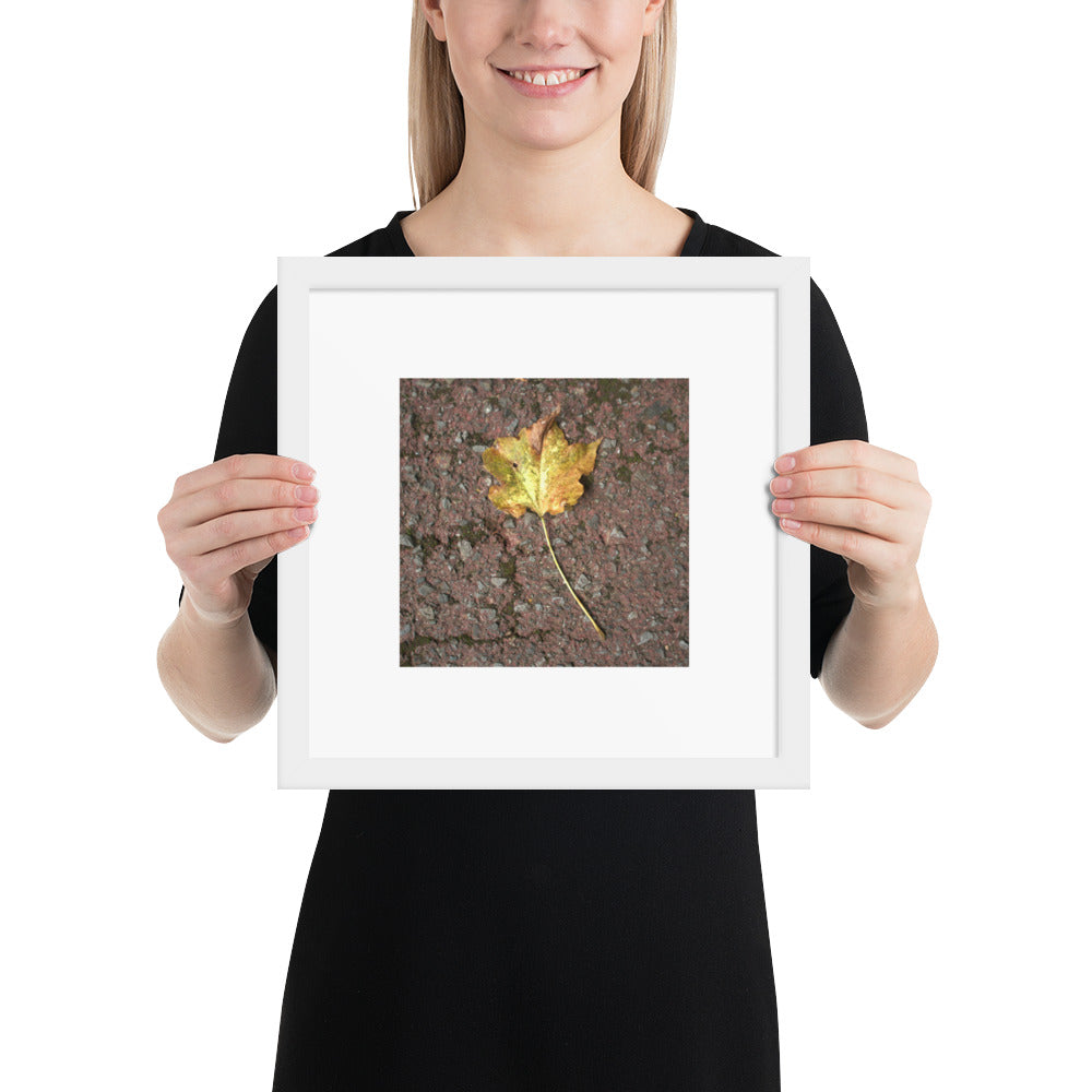 Maple Leaf Botanical Art – Framed Matte Paper Poster, White Frame, Front View