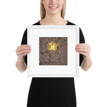 Maple Leaf Botanical Art – Framed Matte Paper Poster, White Frame, Front View
