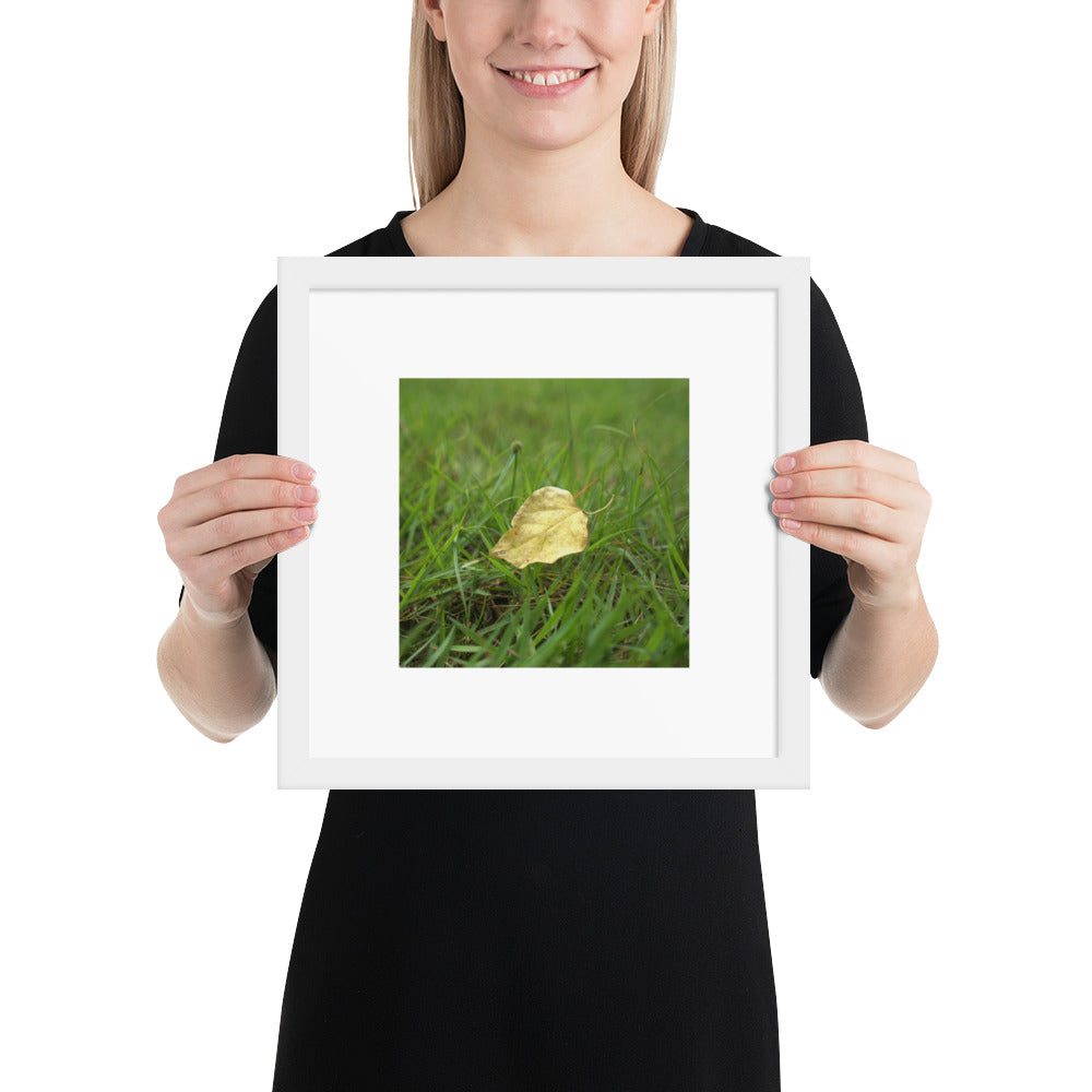 Yellow Fallen Leaf Botanical Art – Framed Matte Paper Poster, White Frame, Front View