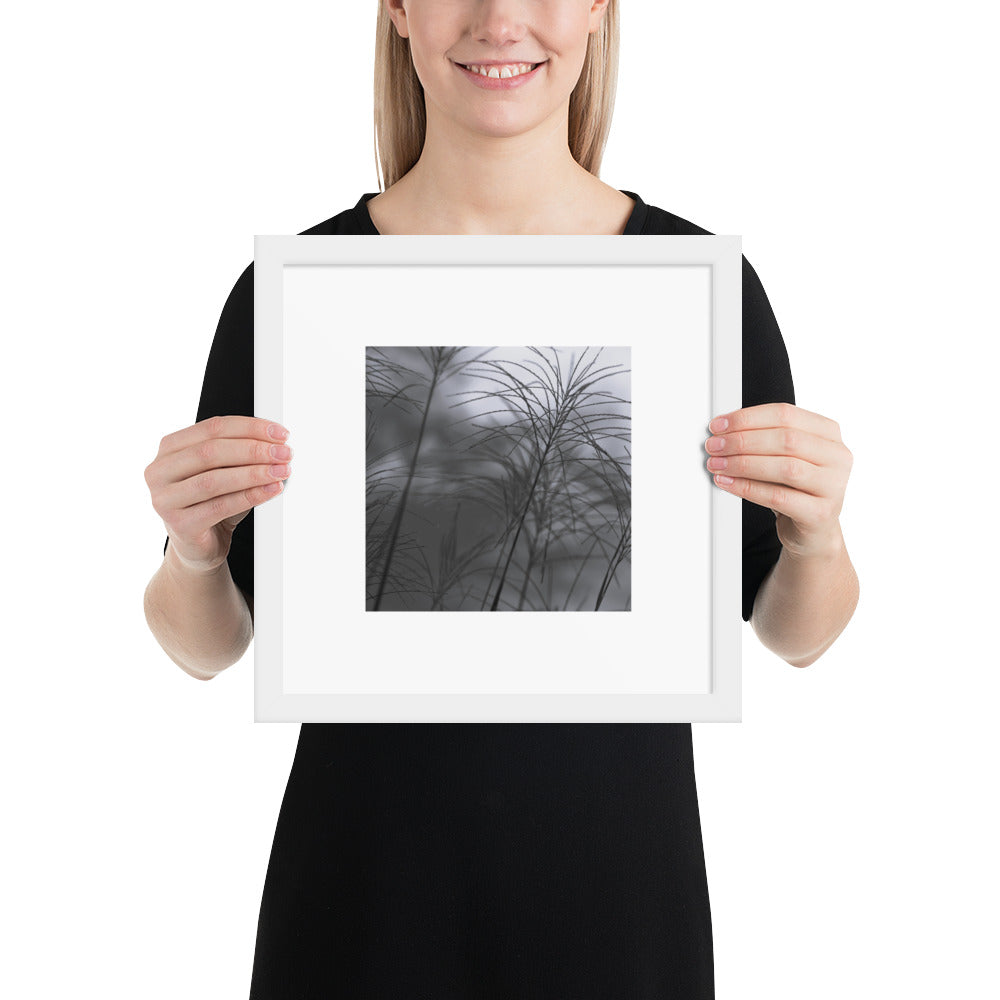 Silver Grass Cluster Botanical B&W Art – Framed Matte Paper Poster, White Frame, Front View