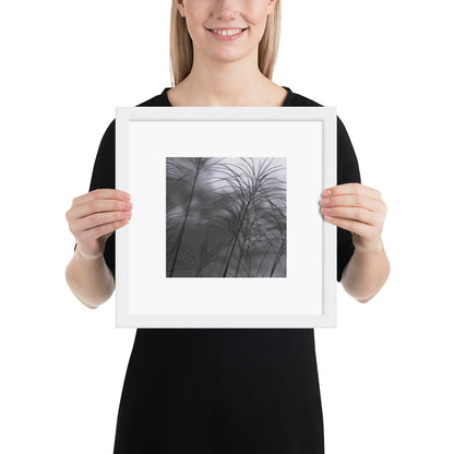 Silver Grass Cluster Botanical B&W Art – Framed Matte Paper Poster, White Frame, Front View