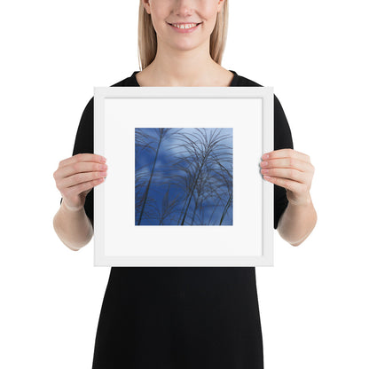 Silver Grass Cluster Botanical Art – Framed Matte Paper Poster, White Frame, Front View