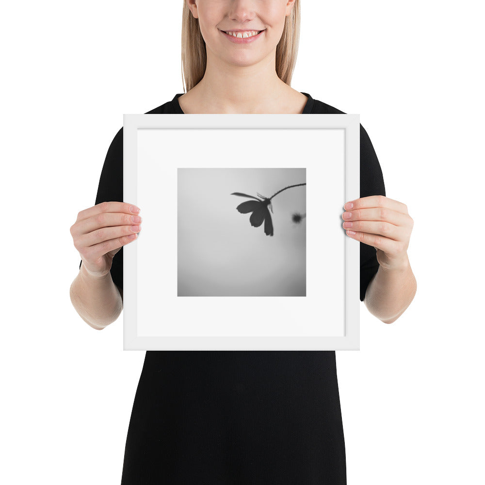 Cosmos Flower Botanical B&W Art – Framed Matte Paper Poster, White Frame, Front View