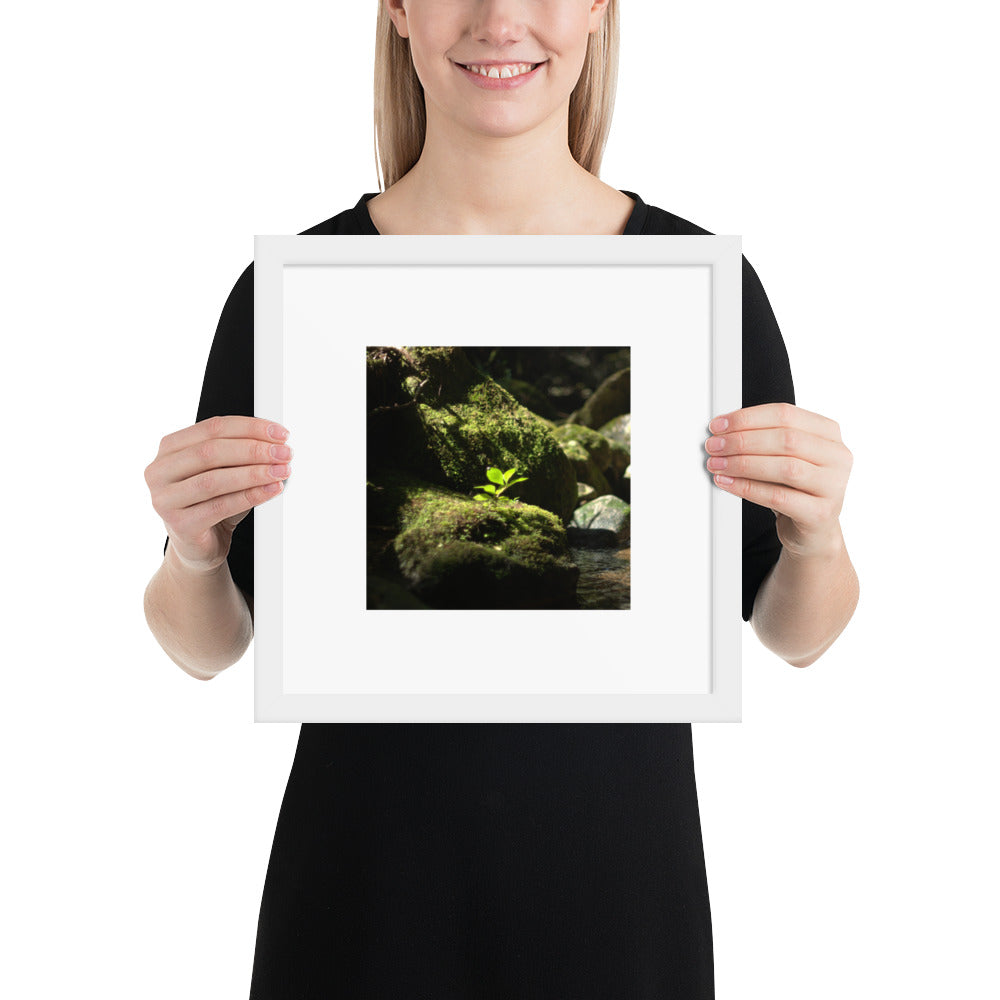 Plant on a Rock Art – Framed Matte Paper Poster, White Frame, Lifestyle View