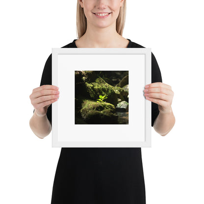 Plant on a Rock Art – Framed Matte Paper Poster, White Frame, Lifestyle View