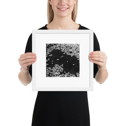 Cherry Blossoms (B&W) Art – Framed Matte Paper Poster, White Frame, Lifestyle View