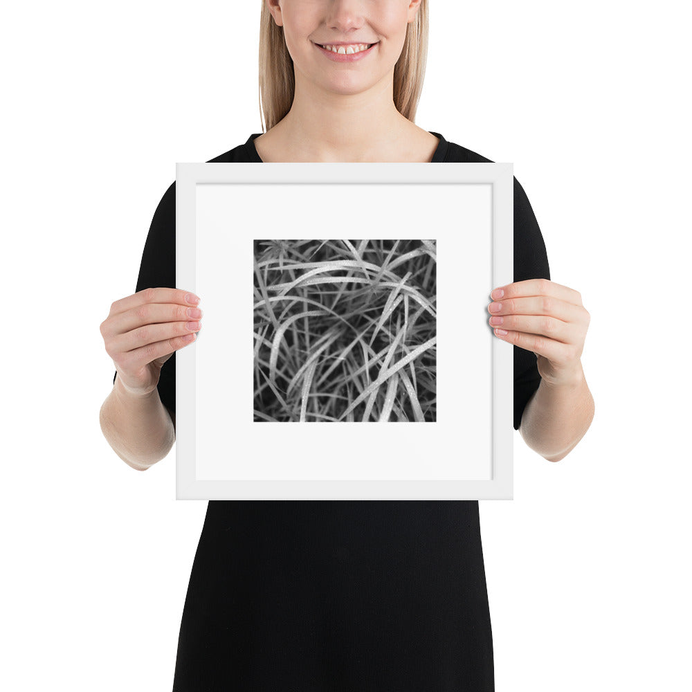 Weeds (B&W) Art – Framed Matte Paper Poster, White Frame, Angled View
