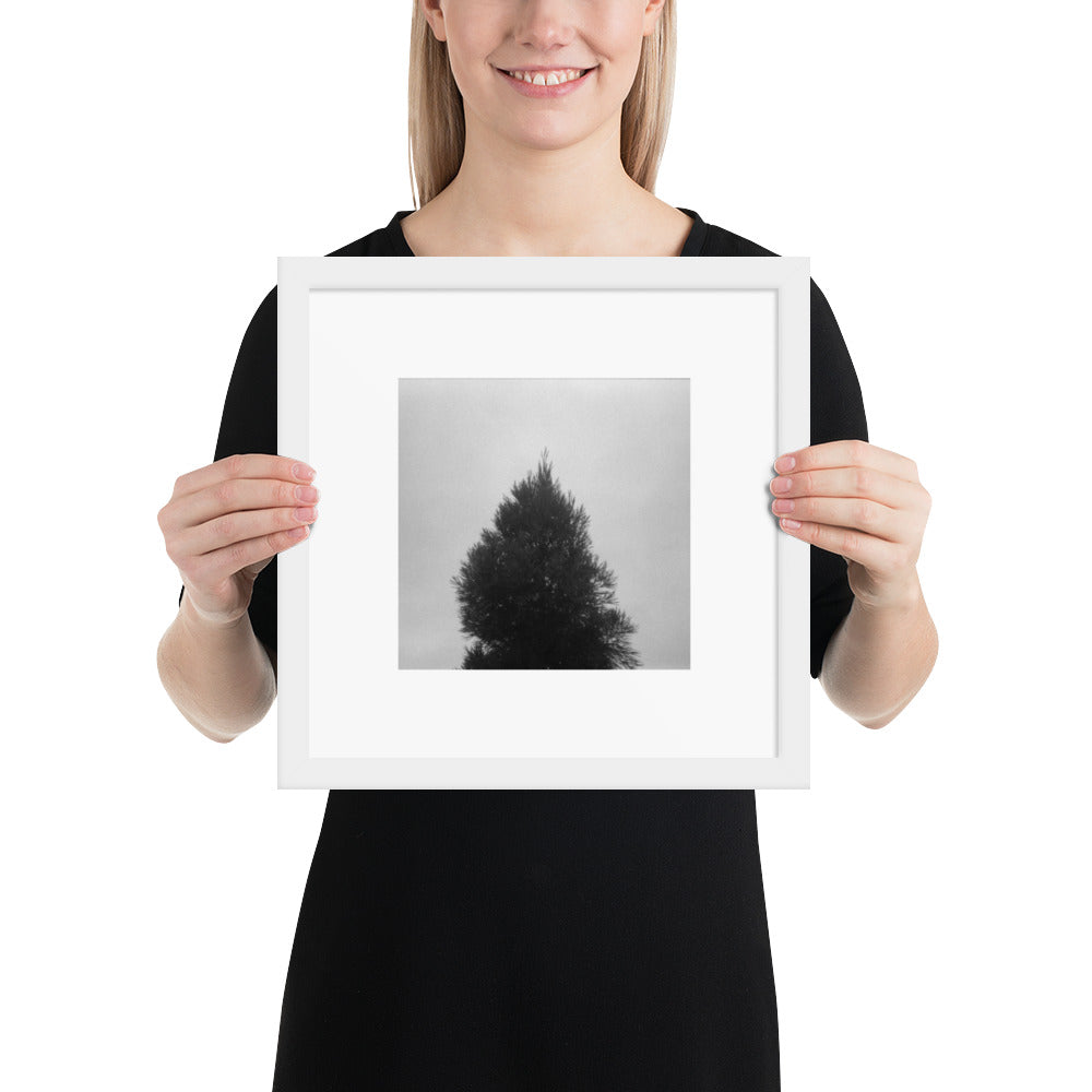 Fog and Trees (B&W) - Framed Matte Paper Poster, White, Front View