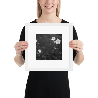 Balloon Flower (B&W) - Framed Matte Paper Poster, White, Front View