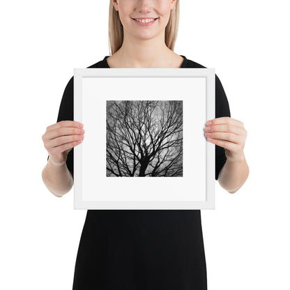 Tree B and W Framed Matte Paper Poster White