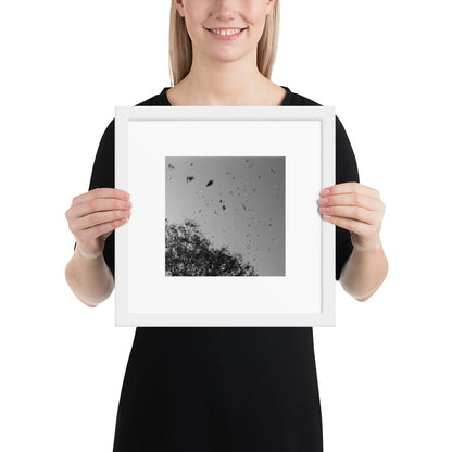 Leaves Dancing in Wind (B&W) - Framed Matte Paper Poster White