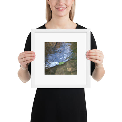 Drifted Leaf - Framed Matte Paper Poster White