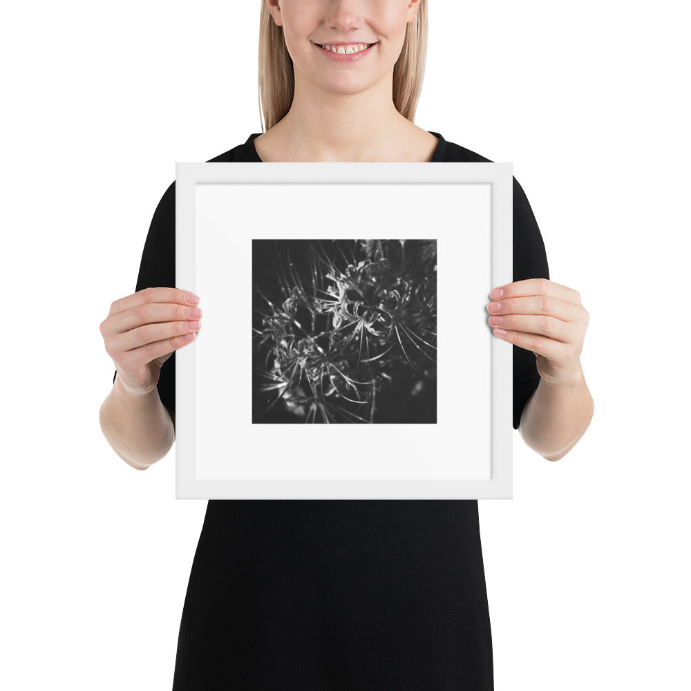 Red Spider Lily (B&W) framed matte paper poster, white frame