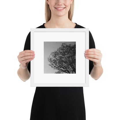 【White】
Minimalist mode style framed matte paper poster with a 'Tree and Wind' black and white photo print and a white frame / モードストリート系ポスター、「木と風」のモノクロ写真プリント（インテリアポスター）