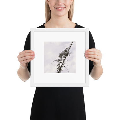 Minimalist mode style framed matte paper poster with a 'Vines Entangled on a Utility Pole' black and white photo print and a white frame / モードストリート系フレーム付きポスター（ホワイトフレーム）、「電柱に絡まるツル」のモノクロ写真プリント（壁掛けアート）