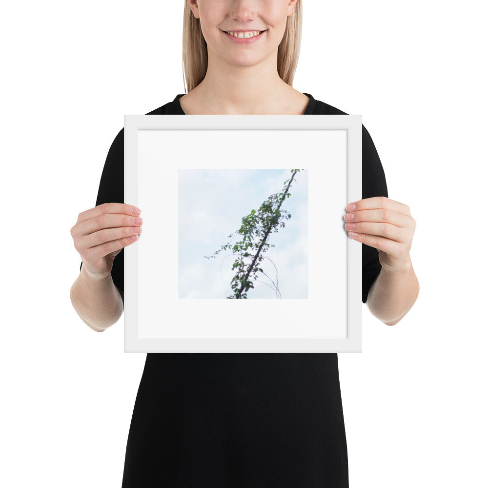 Minimalist mode style framed matte paper poster with a 'Vines Entangled on a Utility Pole' photo print and a white frame / モードストリート系フレーム付きポスター（ホワイトフレーム）、「電柱に絡まるツル」の写真プリント（壁掛けアート）