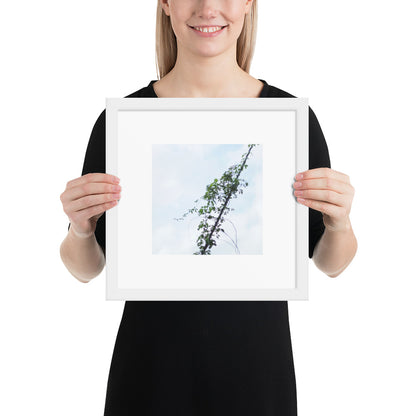 Minimalist mode style framed matte paper poster with a 'Vines Entangled on a Utility Pole' photo print and a white frame / モードストリート系フレーム付きポスター（ホワイトフレーム）、「電柱に絡まるツル」の写真プリント（壁掛けアート）