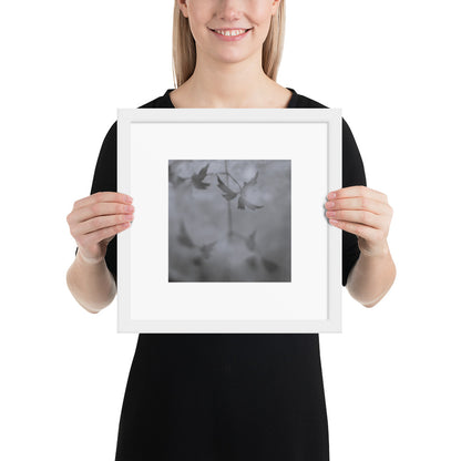 Minimalist mode style framed matte paper poster with a 'Water Surface & Leaves' black and white photo print and white frame / モードストリート系フレーム付きマット紙ポスター、「水面と葉」のモノクロ写真プリント（ホワイトフレーム）