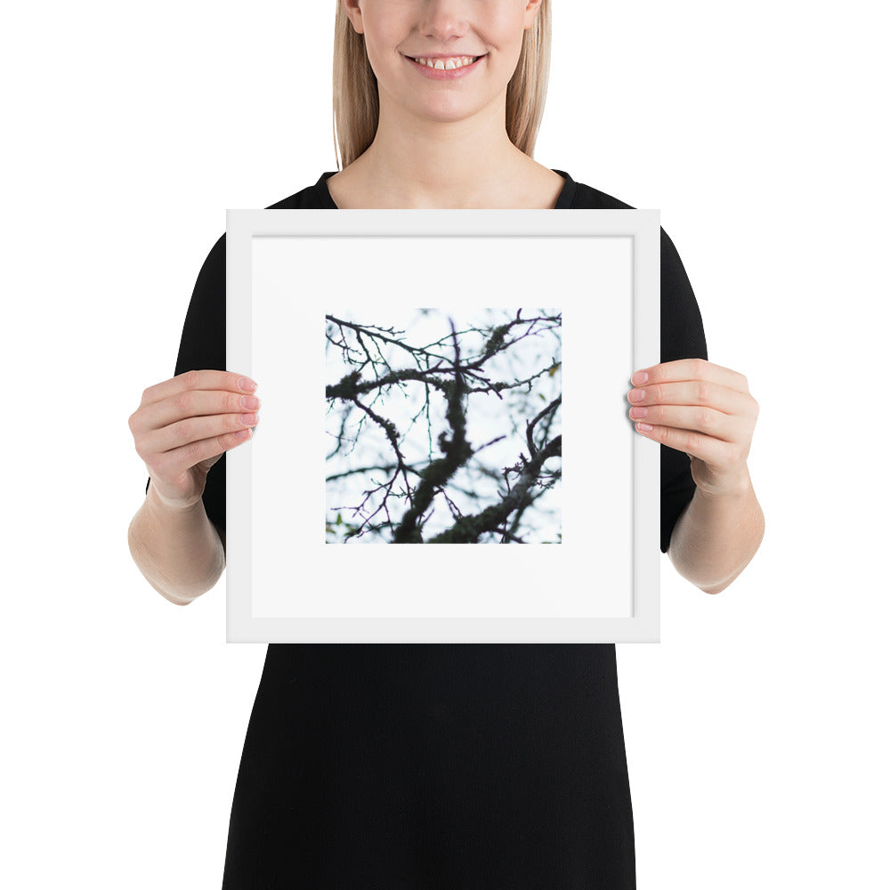 Minimalist mode style framed matte paper poster with a 'Bare Tree' art print and white frame / モードストリート系フレーム付きマット紙ポスター、「Bare Tree（枯れ木）」のアートプリント（ホワイトフレーム）