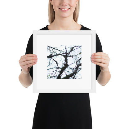 Minimalist mode style framed matte paper poster with a 'Bare Tree' art print and white frame / モードストリート系フレーム付きマット紙ポスター、「Bare Tree（枯れ木）」のアートプリント（ホワイトフレーム）