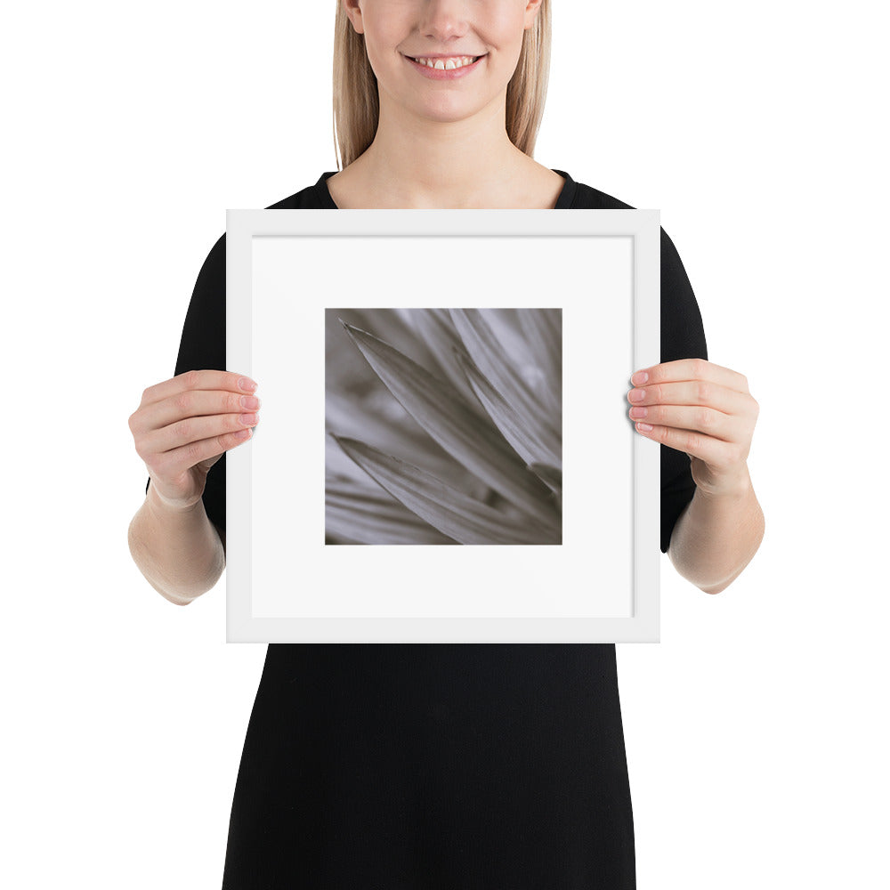 Minimalist style premium wall art featuring a black and white photograph of a Yucca plant, displayed in a sleek matte white frame. A clean, sophisticated piece of botanical home decor, perfect for modern and bright interior design. / モードストリート系インテリアに最適なユッカ植物のモノクロ写真アートポスター。マットホワイトフレーム付きのミニマリスト・デザイン。