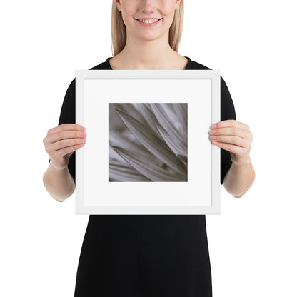 Minimalist style premium wall art featuring a black and white photograph of a Yucca plant, displayed in a sleek matte white frame. A clean, sophisticated piece of botanical home decor, perfect for modern and bright interior design. / モードストリート系インテリアに最適なユッカ植物のモノクロ写真アートポスター。マットホワイトフレーム付きのミニマリスト・デザイン。