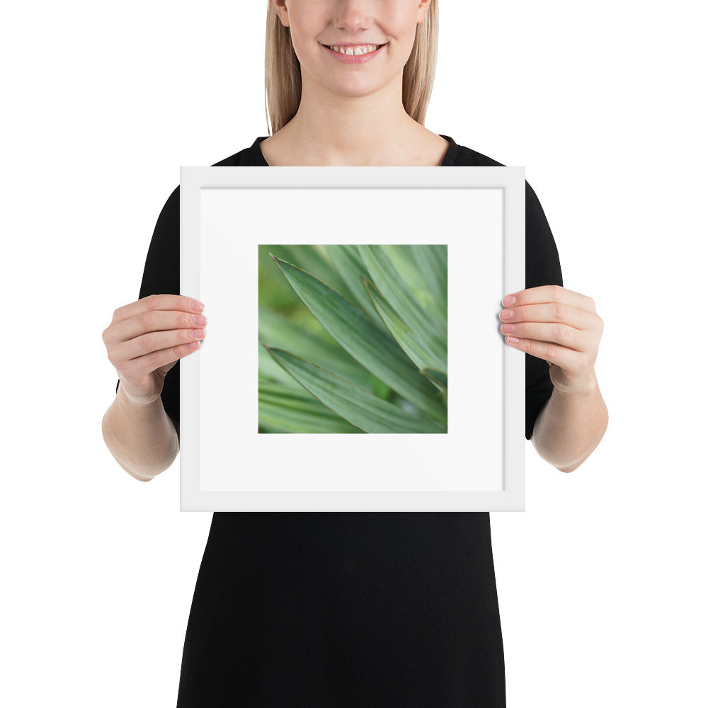 Minimalist streetwear style framed wall art in matte white, featuring a Yucca plant color photograph. Clean, bright botanical decor for modern interior styling. / モードストリート系・マットホワイトフレーム入りユッカ植物のアートポスター。明るく洗練されたモダンな空間を演出するミニマリスト・デザイン。