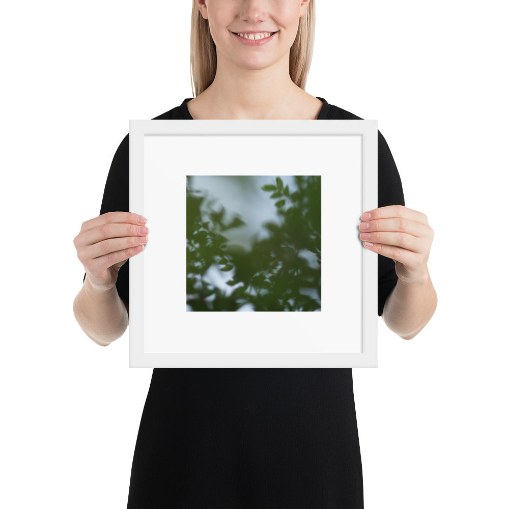 Minimalist streetwear style framed wall art in matte white, featuring a 'Tree Branches' botanical photograph. / Tree Branches 額装ポスター（ホワイトフレーム）：クリーンな白枠がモダンな空間を演出する、モードストリート系ミニマリスト・インテリアアート。