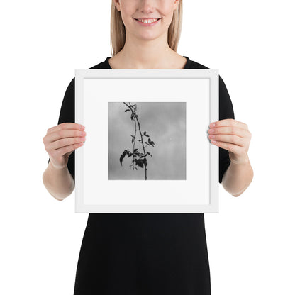 Minimalist streetwear style framed matte paper poster in white frame featuring the 'Tree Branches (B&W)' photo art. / モードストリート系フレーム付きマットペーパーポスター（ホワイトフレーム）：「木の枝（モノクロ）」のフォトアートを配したデザイン。