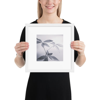 Minimalist art framed matte paper poster in white frame featuring the 'Botanical (B&W)' photo art. / フレーム付きマットペーパーポスター（ホワイトフレーム）：「ボタニカル (モノクロ)」のフォトアートを配したミニマリストデザイン。