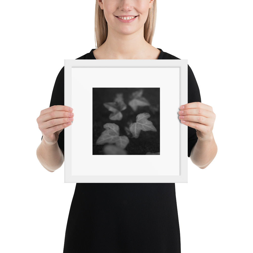 Minimalist streetwear style framed wall art in matte white, featuring an 'Ivy' B&W botanical photograph. / Ivy B&W 額装ポスター（ホワイトフレーム）：クリーンな白枠がモダンな空間を演出する、モードストリート系ミニマリスト・インテリアアート。