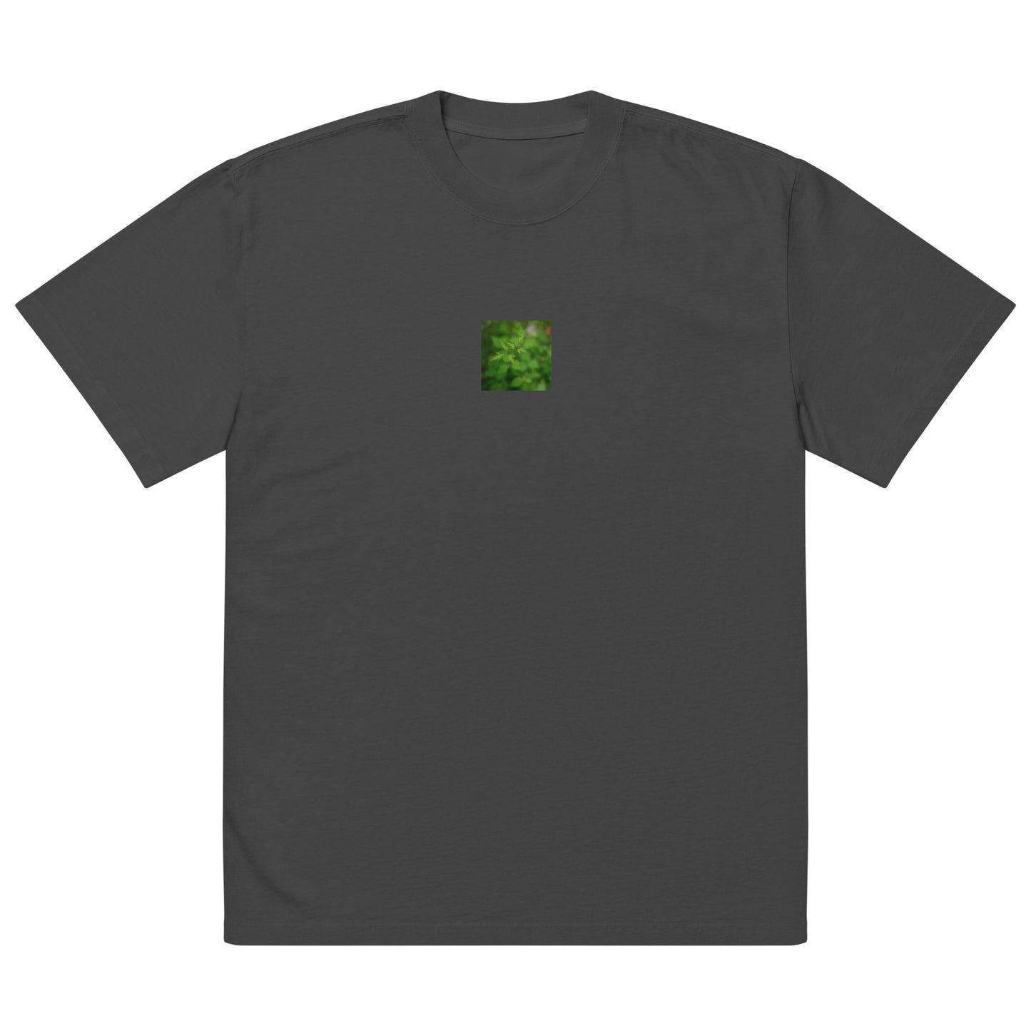 Botanical Plant Art – Oversized Faded T-Shirt, Faded Black, Front View
