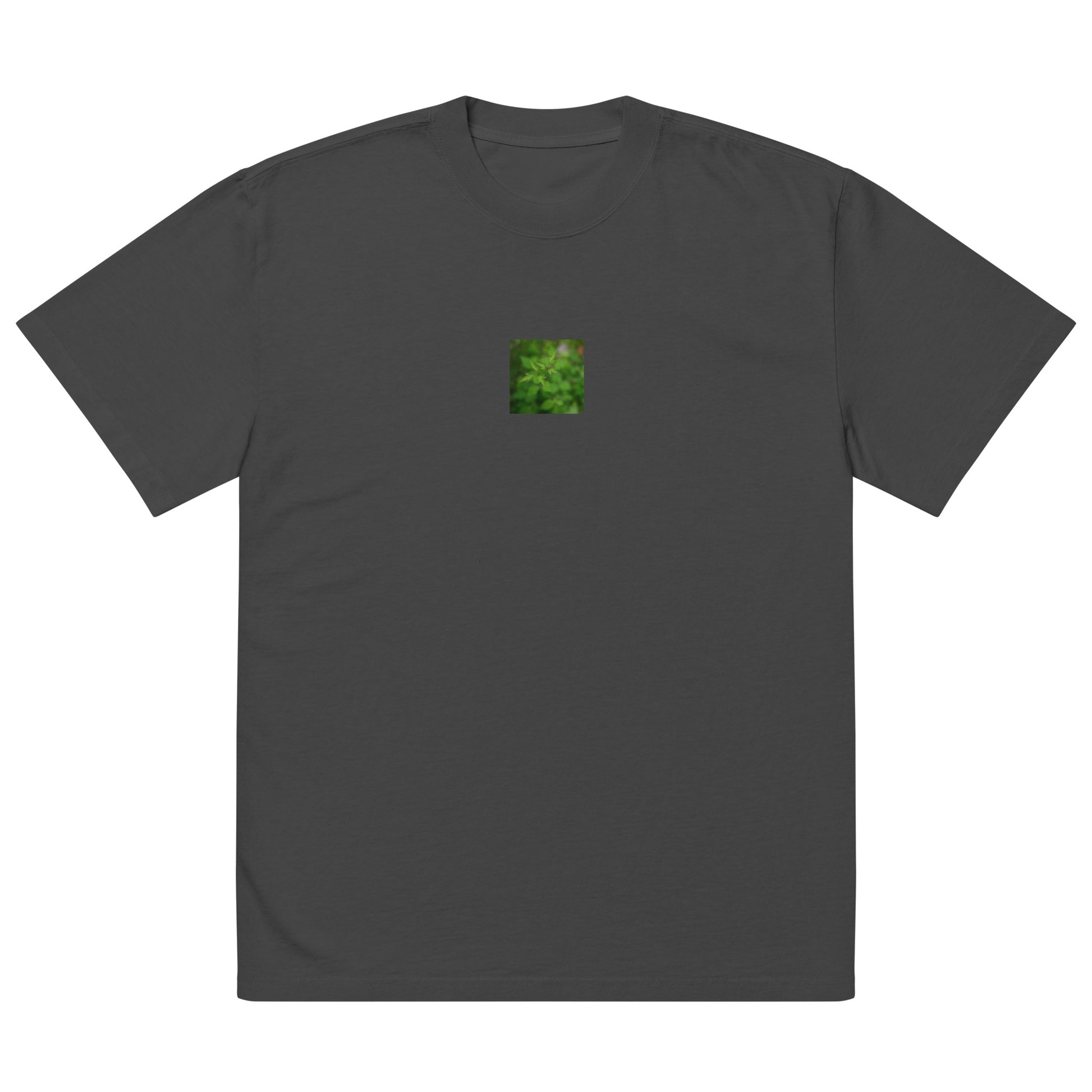 Botanical Plant Art – Oversized Faded T-Shirt, Faded Black, Front View
