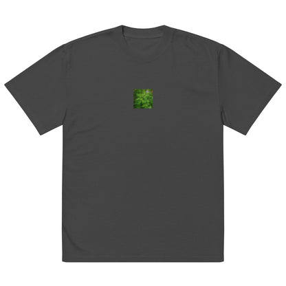 Botanical Plant Art – Oversized Faded T-Shirt, Faded Black, Front View
