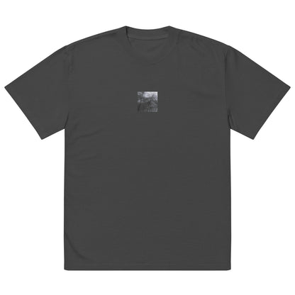 Silver Grass Cluster Botanical B&W Art – Oversized Faded T-Shirt, Faded Black, Front View