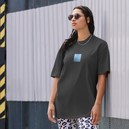 Crow and Power Lines Art – Oversized Faded T-Shirt, Faded Black, Front View