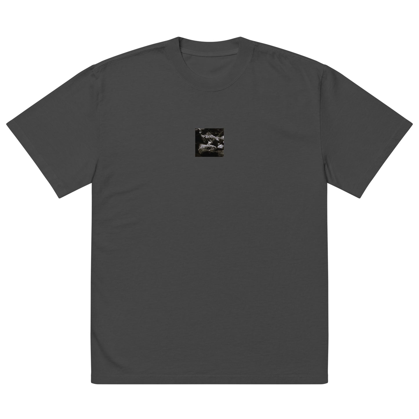Plant on a Rock (B&W) Art – Oversized Faded T-Shirt, Faded Black, Front View