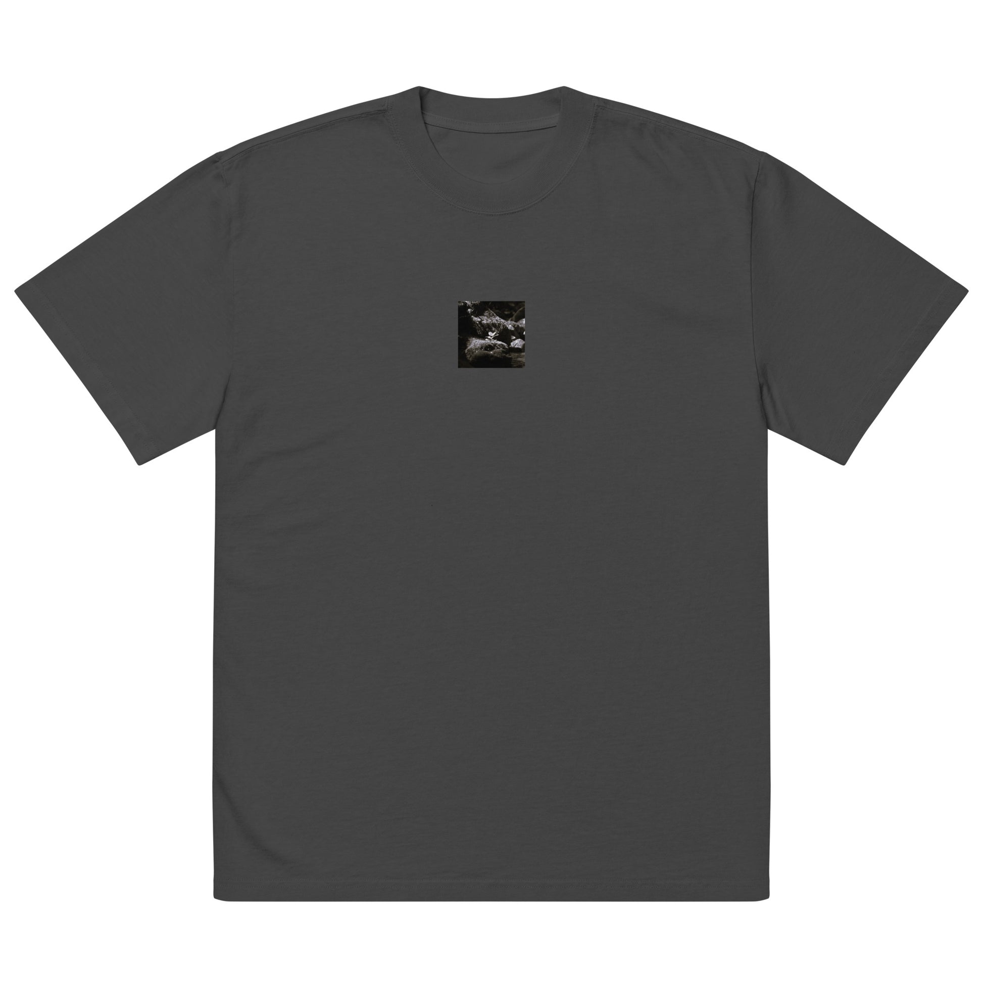Plant on a Rock (B&W) Art – Oversized Faded T-Shirt, Faded Black, Front View
